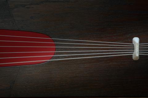 Alamannische Leier - Photo: André Wagenzik Alamannische Leier - Photo: André Wagenzik